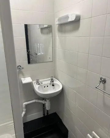 The White Lion 帕特代尔