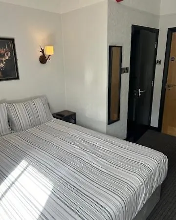 宾馆 The White Lion