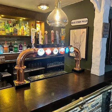 宾馆 The White Lion *